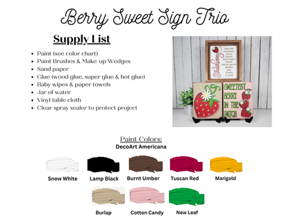 A listing of the supplies needed to complete the Berry Sweet Switchable Farmhouse Sign DIY kits from Janet's Craft Corner. The listing includes the DecoArt Americana paint colors used on the sample signs.